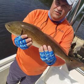 No Red Tide Tampa Bay