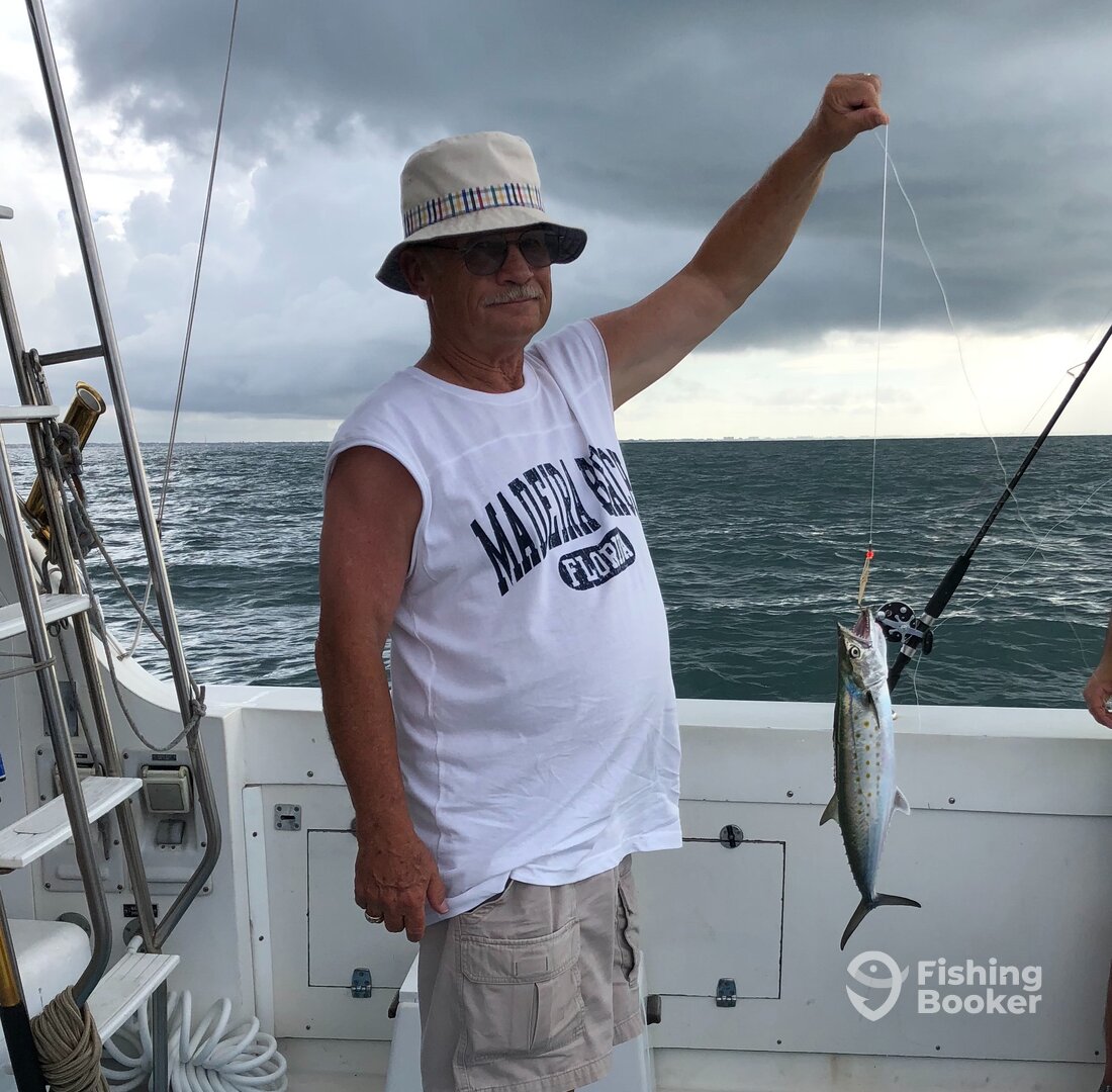 Redington Shores Report Photo 0