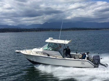 Fishing Report and Trend for Late Peak S