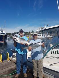 Comox Report Photo 2