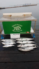Comox Report Photo 1