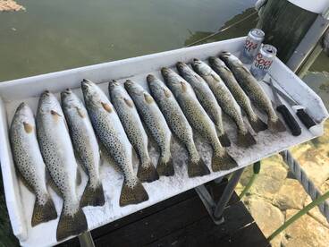Islamorada Report Photo 2