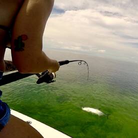 Inshore bite red hot