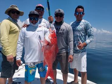 Summer Review & Fall Fishing 