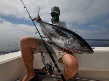 Yellowfin Insanity 2