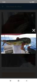 MAHI MAHI-BUDVA-ADRIATIC SEA