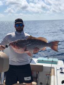 2019 Starting Out Strong