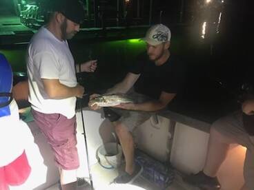 Niceville Report Photo 1
