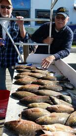 Great weather and great fishing.