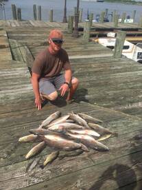 LIMIT OF REDFISH