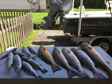 New Orleans Report Photo 2