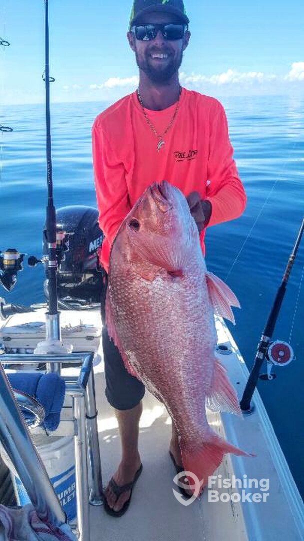 Port Orange Report Photo 0