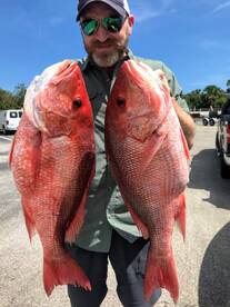 Port Orange Report Photo 1