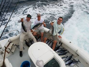 Hot day on the fish!! Yellowfin Tuna and