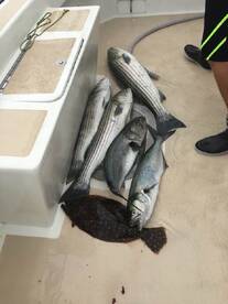 Montauk Report Photo 1