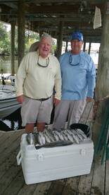 St. Bernard Report Photo 1