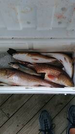 Two friends together for another fishing