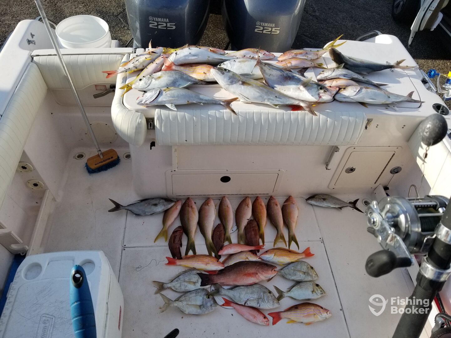 Clearwater Report Photo 0
