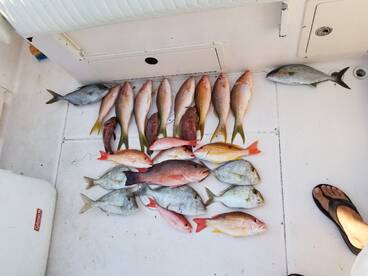 Clearwater Report Photo 1