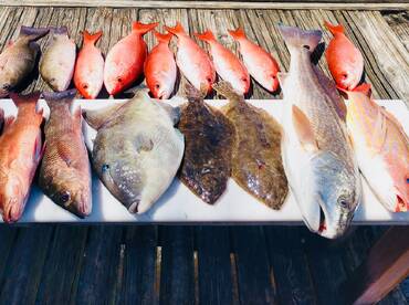 4 Hour Inshore / Nearshore