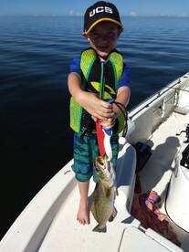 Crystal River Report Photo 1