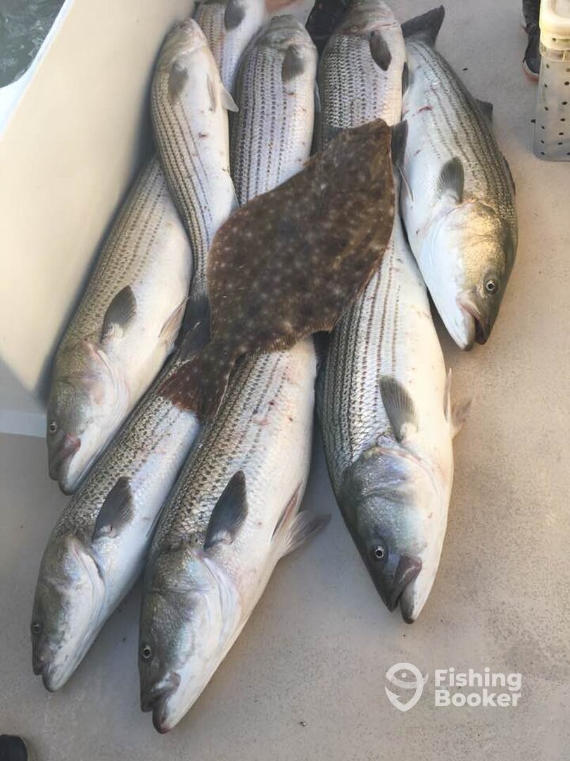 Montauk Report Photo 0