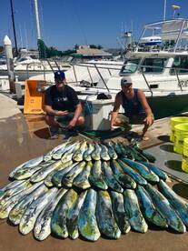 Dana Point Report Photo 2