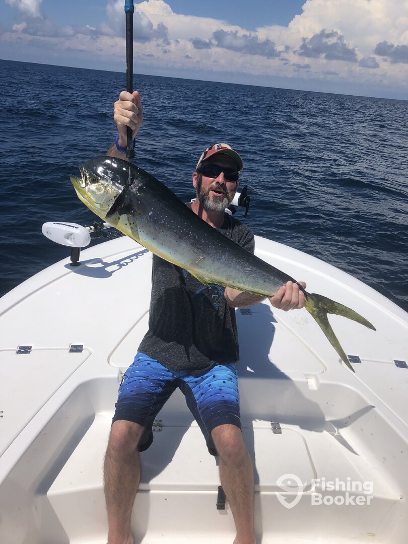 Panama City Beach Report Photo 0