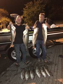 The night's catch