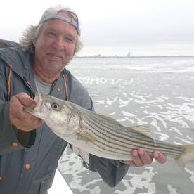 Fall run has started!