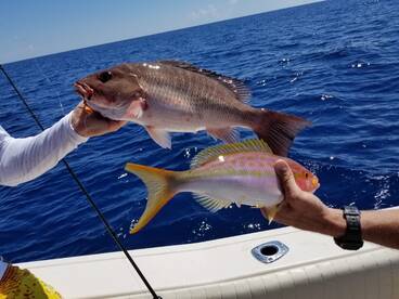 Clearwater Report Photo 2