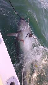 Newburyport Report Photo 2