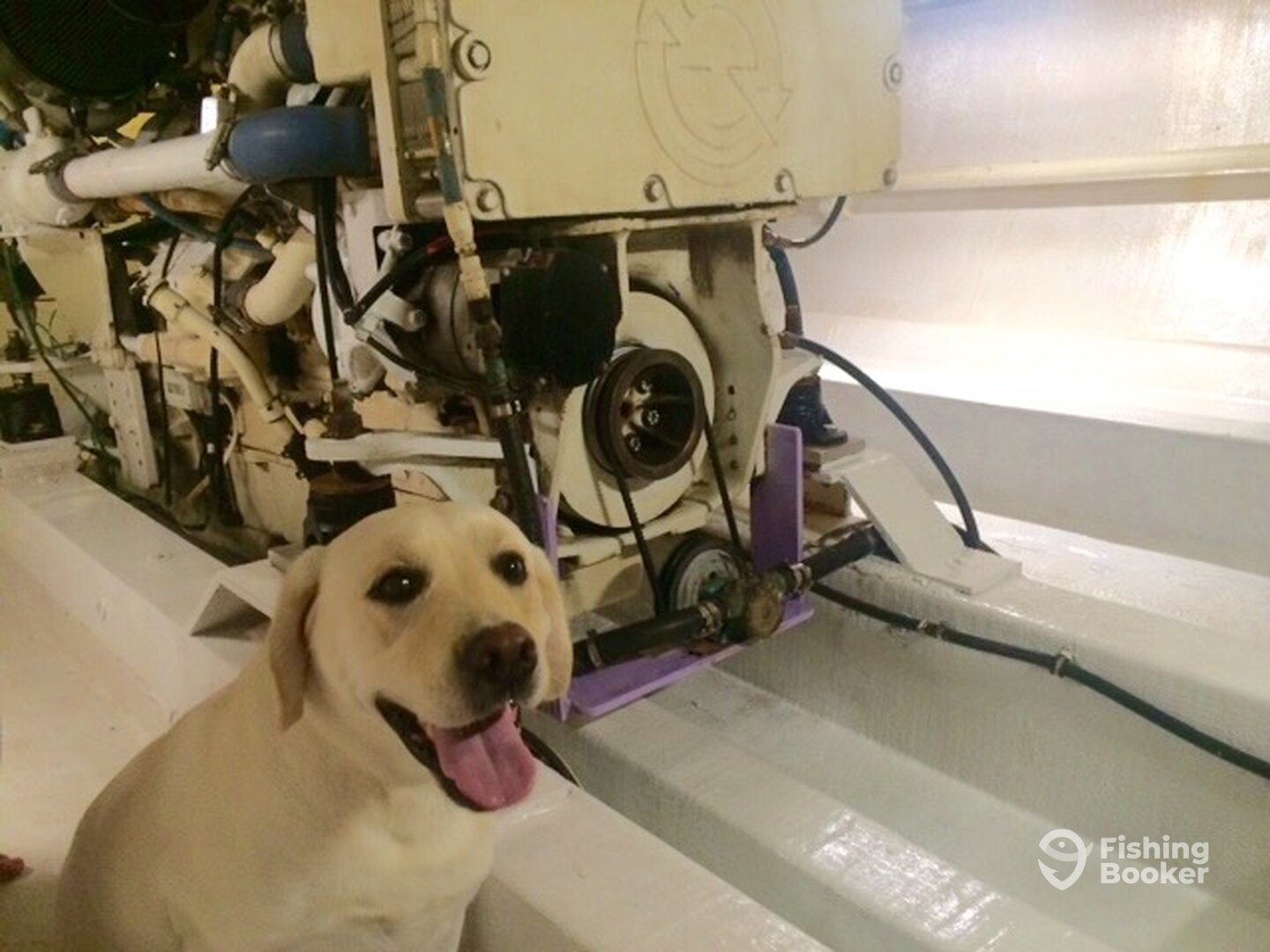 MAHI helps in the Engine Room