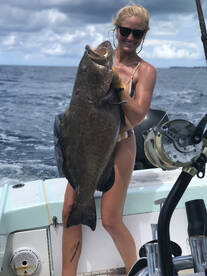 Fort Lauderdale Report Photo 2