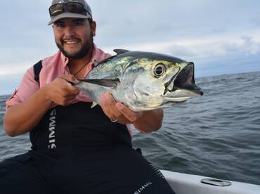 False Albacore are in!