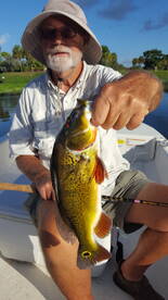 Delray Beach Report Photo 2