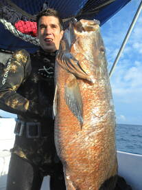 Puerto Aventuras Report Photo 2