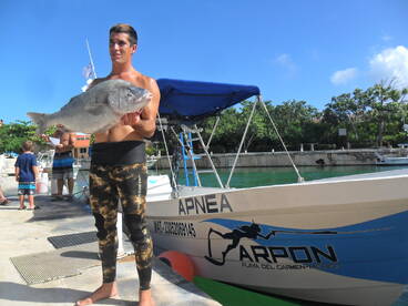 Puerto Aventuras Report Photo 1