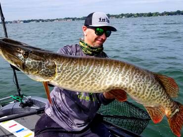 Lake St Clair Tiger Musky