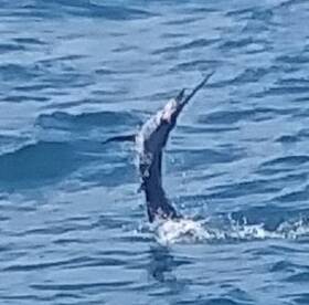 Fort Lauderdale Report Photo 1