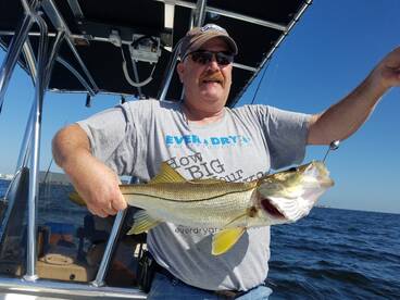 Bay Pines Report Photo 2