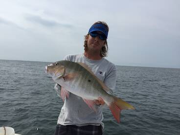 Key Biscayne Report Photo 1