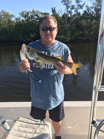Sarasota Report Photo 2