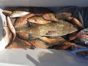 Bay Pines Report Photo 1