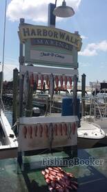 Destin Report Photo 1