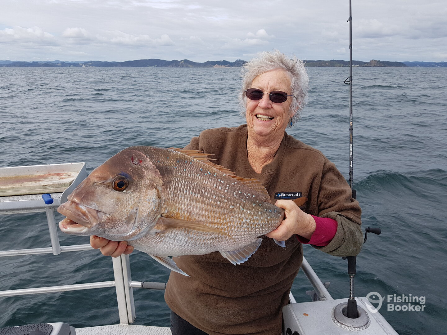 Paihia Report Photo 0