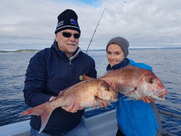 Paihia Report Photo 2