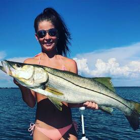 Clearwater Report Photo 1