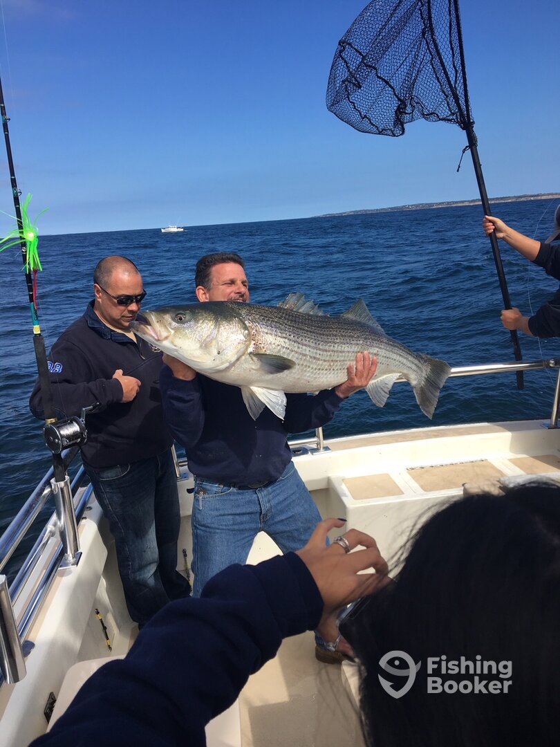 Montauk Report Photo 0