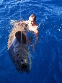 Weather may be cooling off but the fishi